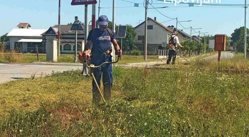 Istaknuta fotografija