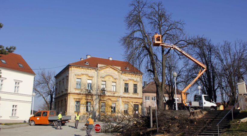 Istaknuta fotografija
