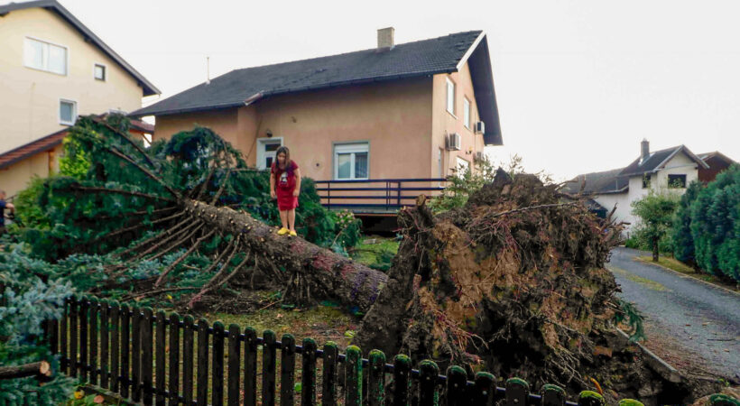 Istaknuta fotografija