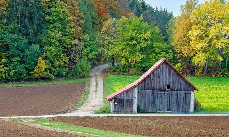 Istaknuta fotografija