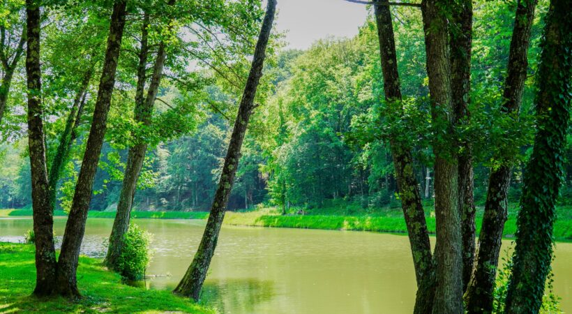 Istaknuta fotografija